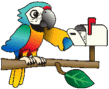 Email Macaw